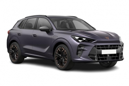 Cupra TERRAMAR 2.0 TSI 204 Tribe Edition 5dr DSG 4Drive