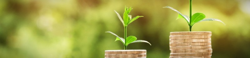 Salary Sacrifice: Benefits for Companies and Employees